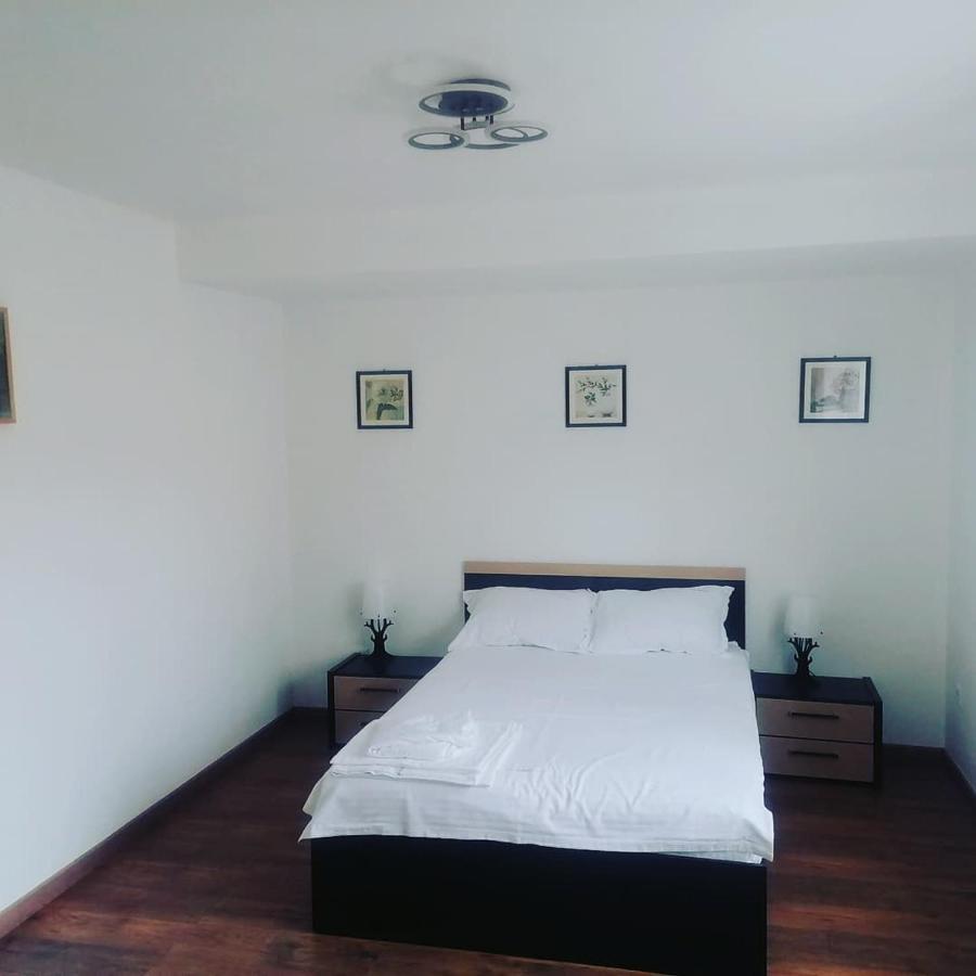 Appartement La Bunici à Baia Mare Extérieur photo