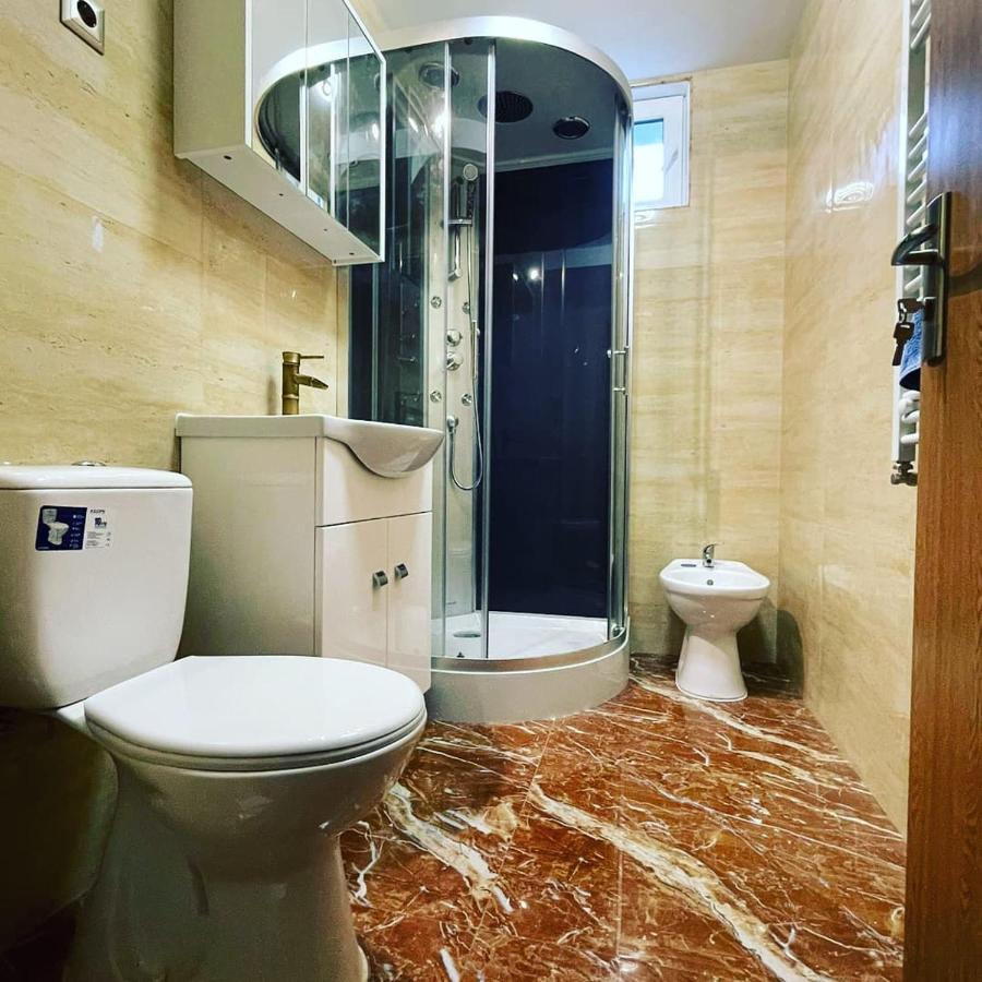 Appartement La Bunici à Baia Mare Extérieur photo